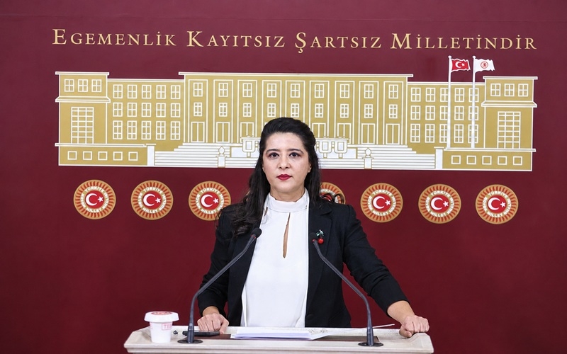 Milletvekili Sevda Karaca: