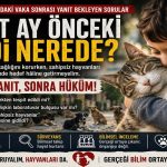 Dört Ay Önceki Kedi Nerede?