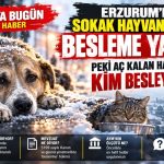 Erzurum’da Sokak Hayvanlarına Besleme Yasağı: Peki Aç Kalan Hayvanı Kim Besleyecek?